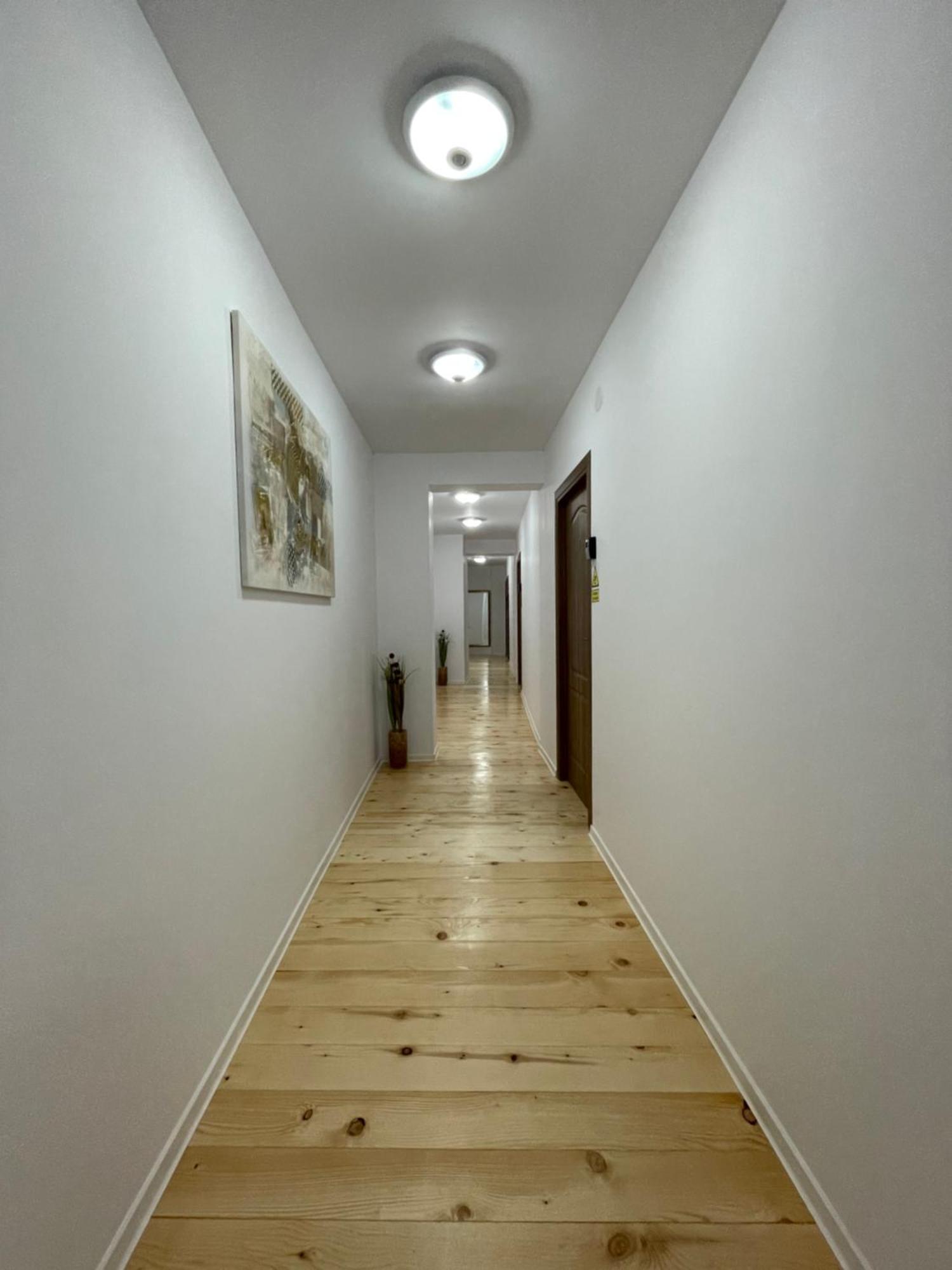 Schei Central Studios In The Heart Of Brașov Exterior foto
